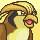 pidgeot