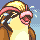 pidgeot