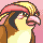 pidgeot