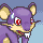 rattata