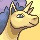rapidash