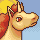 rapidash