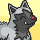 poochyena