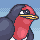 taillow