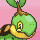 turtwig