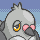 pidove