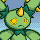 maractus