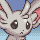 minccino