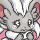cinccino