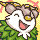 skiddo