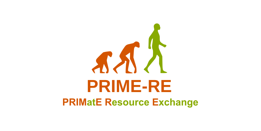 Prime-RE