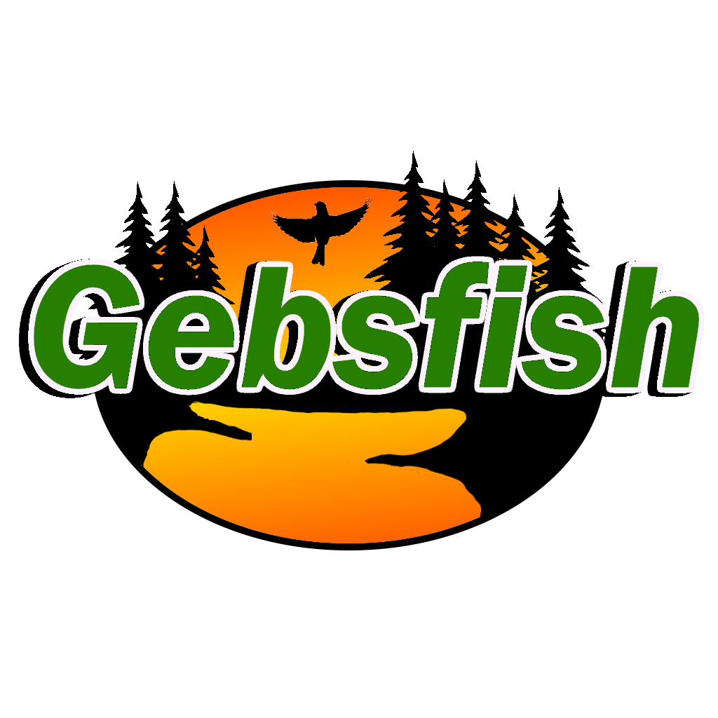 Gebsfish Config Editor — visual server tuning, no text editor needed