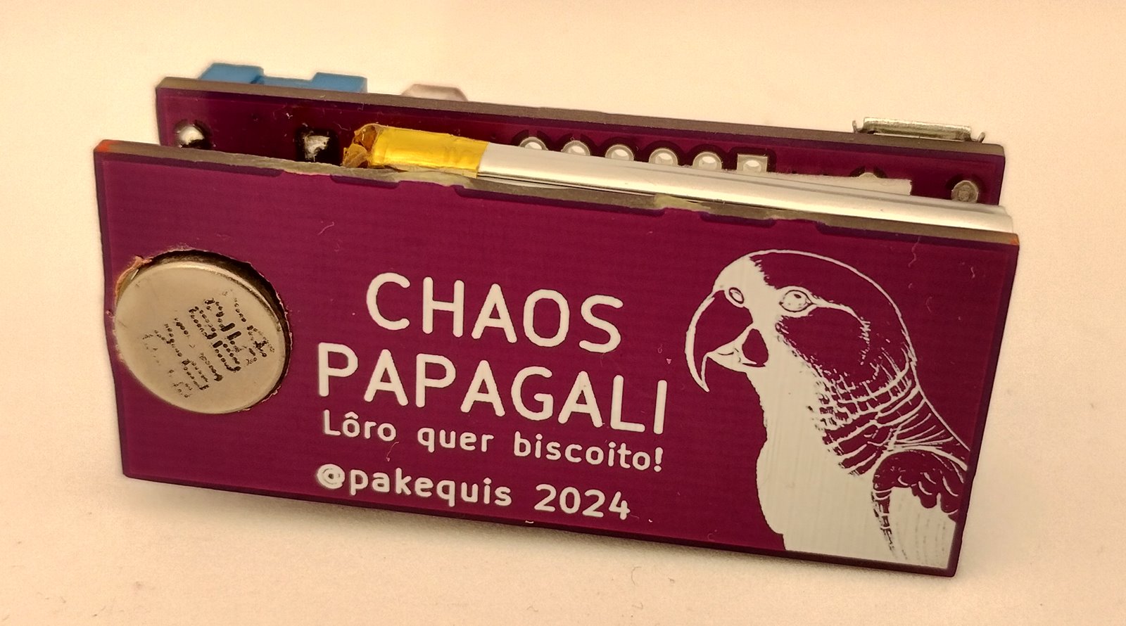 Chaos papagali, from the project README