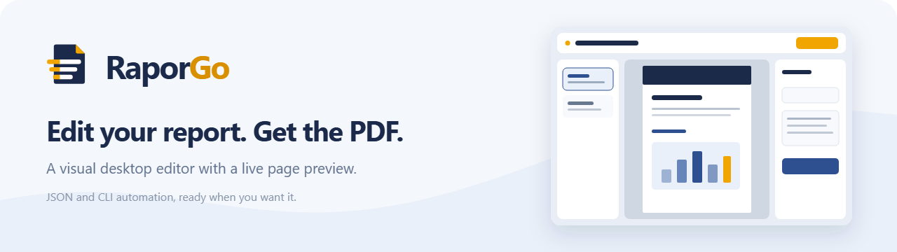 RaporGo — visual desktop report editor