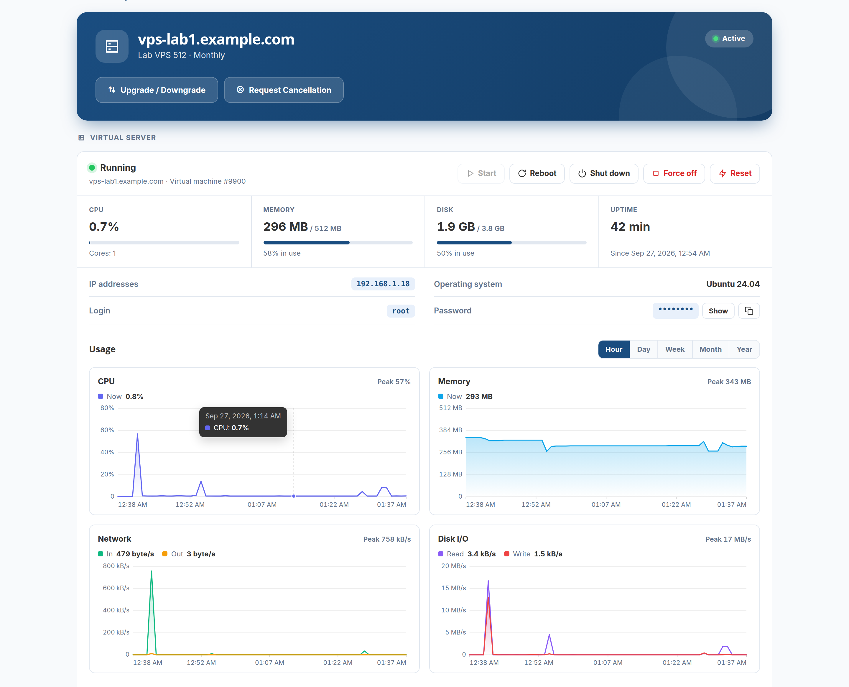 VPS control panel