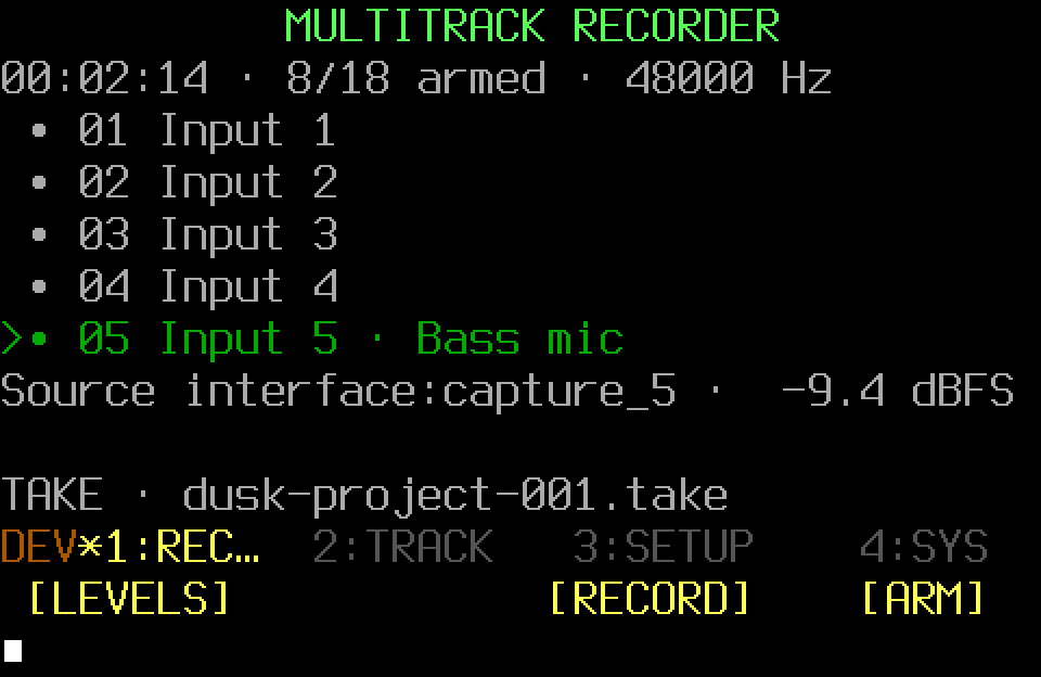 Multichannel audio recorder with armed tracks and input levels