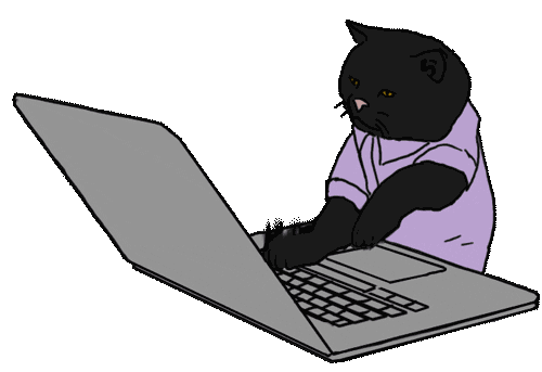 coding cat