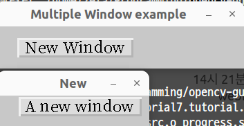 Multiple windows