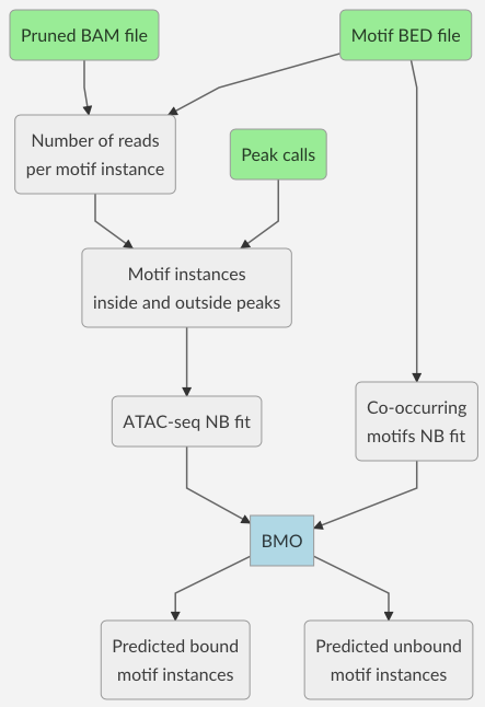 Workflow overview