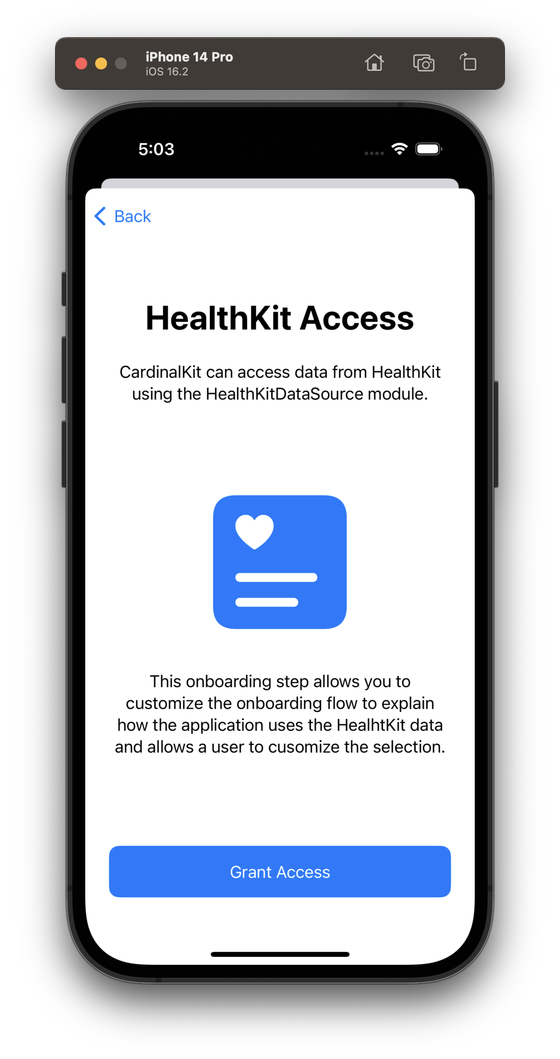 A screen showing a view displaying the HealthKit access screen.