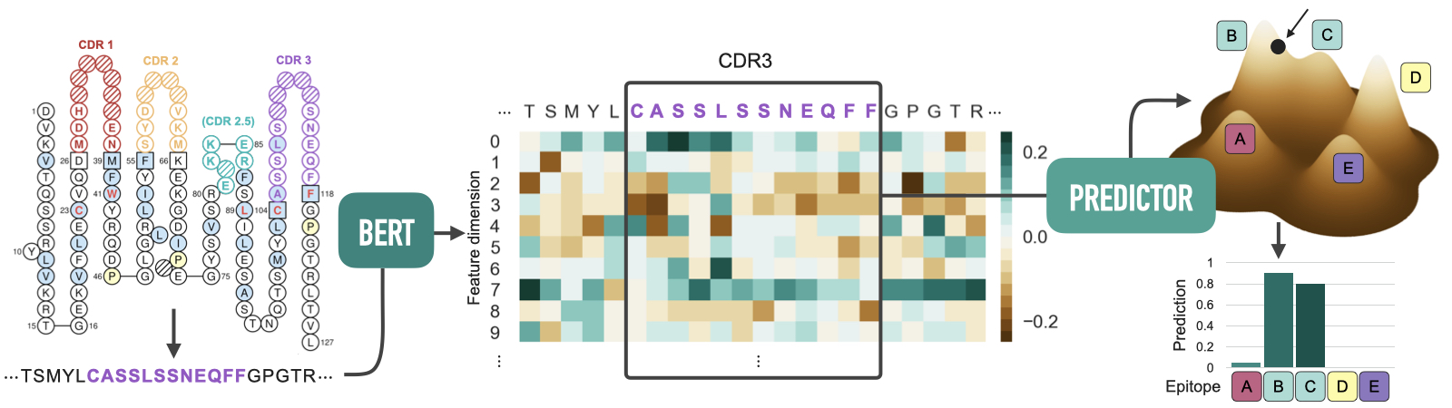 TCRconv pipeline