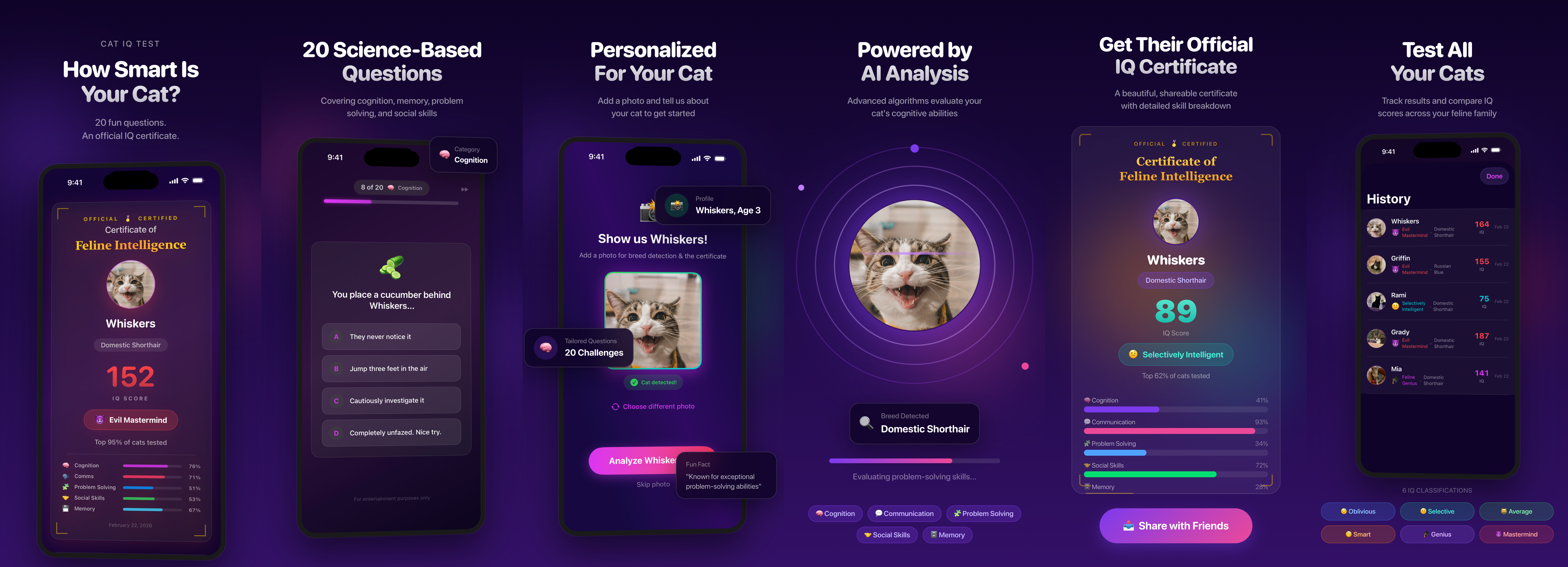 Cat IQ Test screenshots