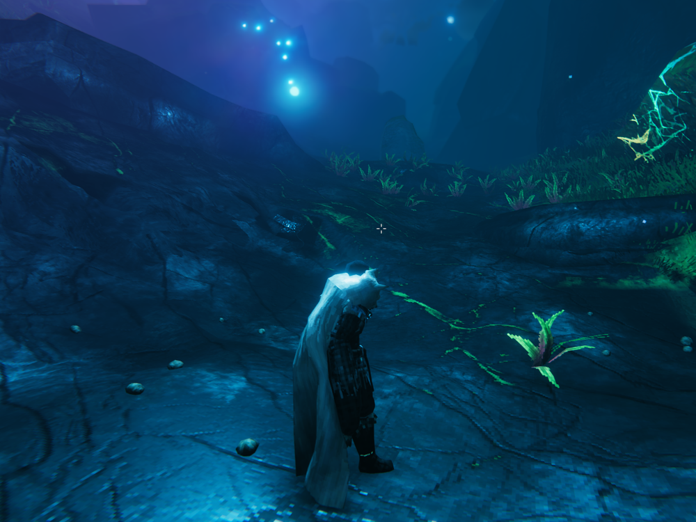 Wisplight with the mod: the same ground, plants and rocks are now readable