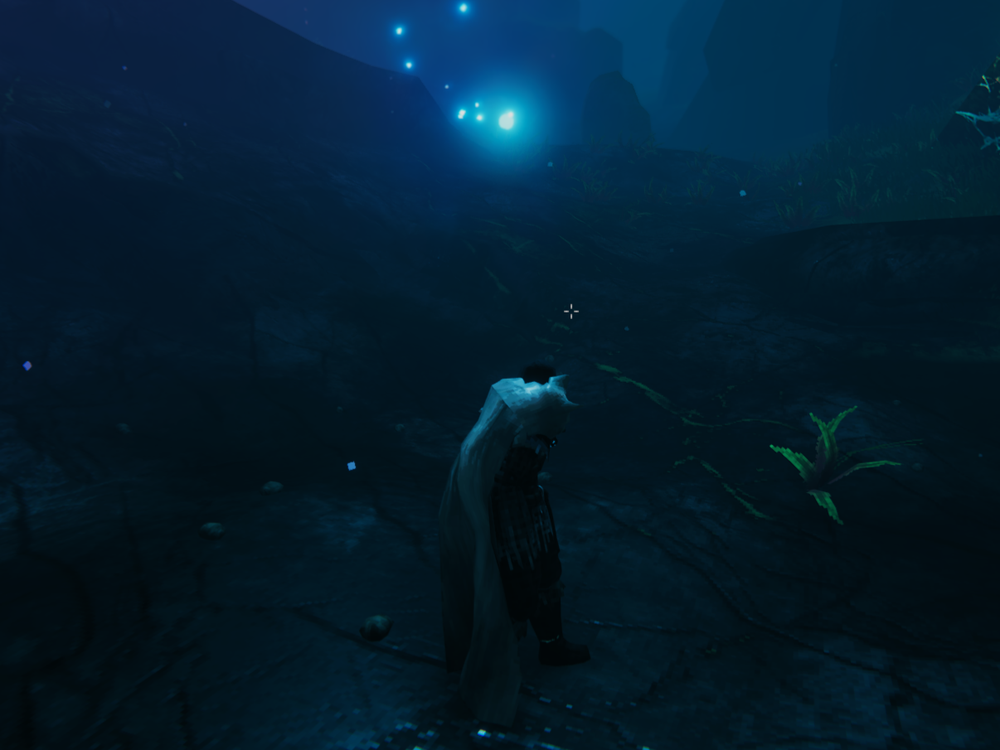 Wisplight in vanilla Valheim: the Mistlands floor is almost black