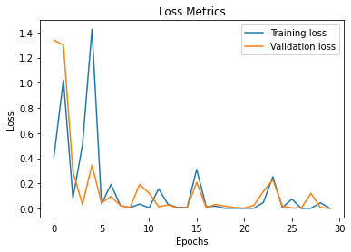 Loss Metrics