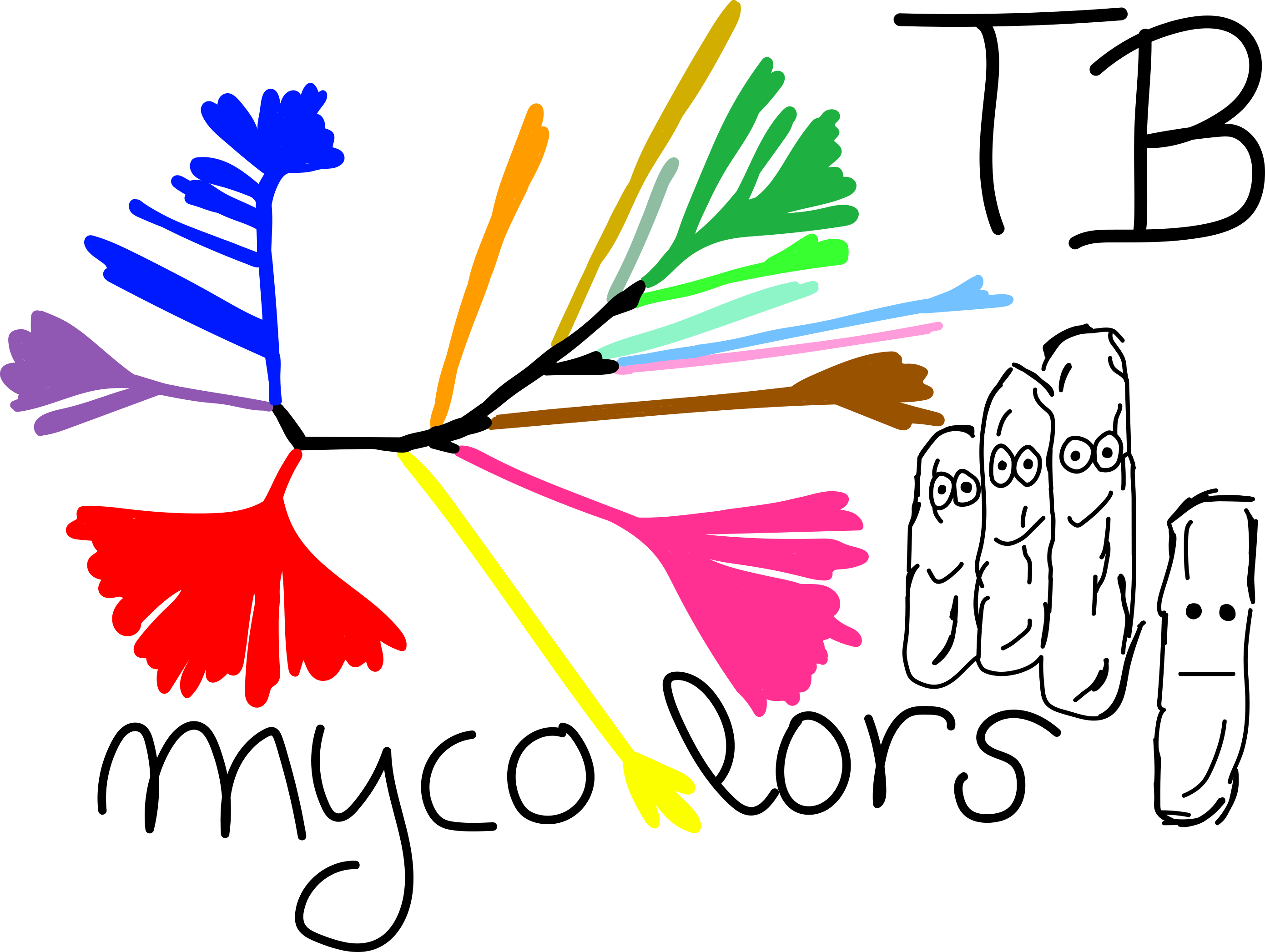 mycolorsTB logo: a hand-drawn radial tree of the Mycobacterium tuberculosis complex with its branches coloured by lineage, beside the hand-lettered mycolorsTB name and drawn tuberculosis bacilli