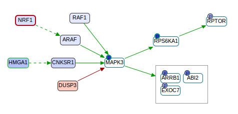 CausalPath sample output network