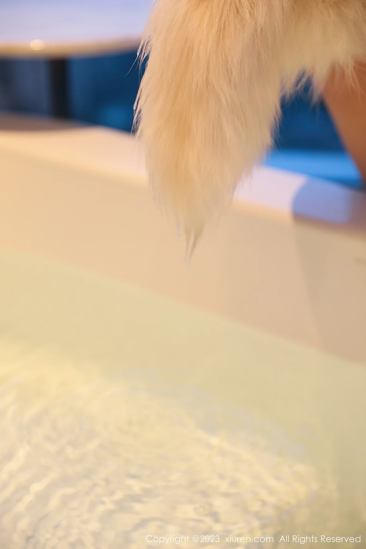 XiuRen No.7143 江真真泳池白泳装写真：丰腴曲线+光影氛围感，秒戳客户心动点！ - 2