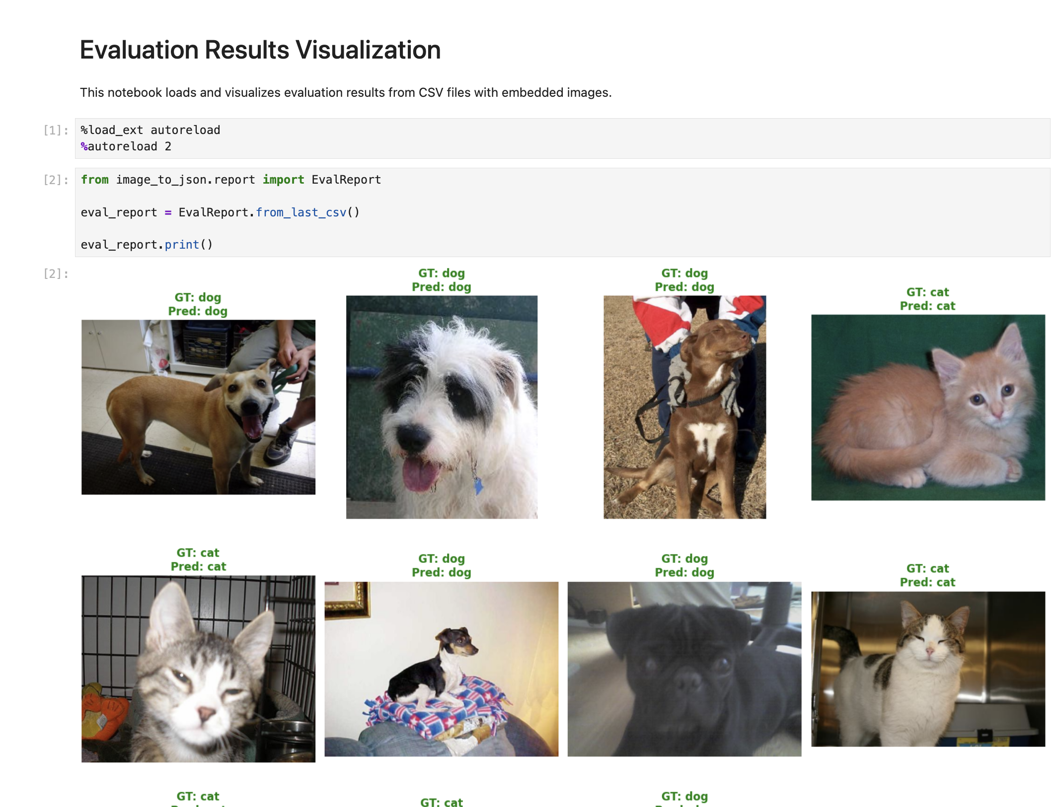 Visualize evals