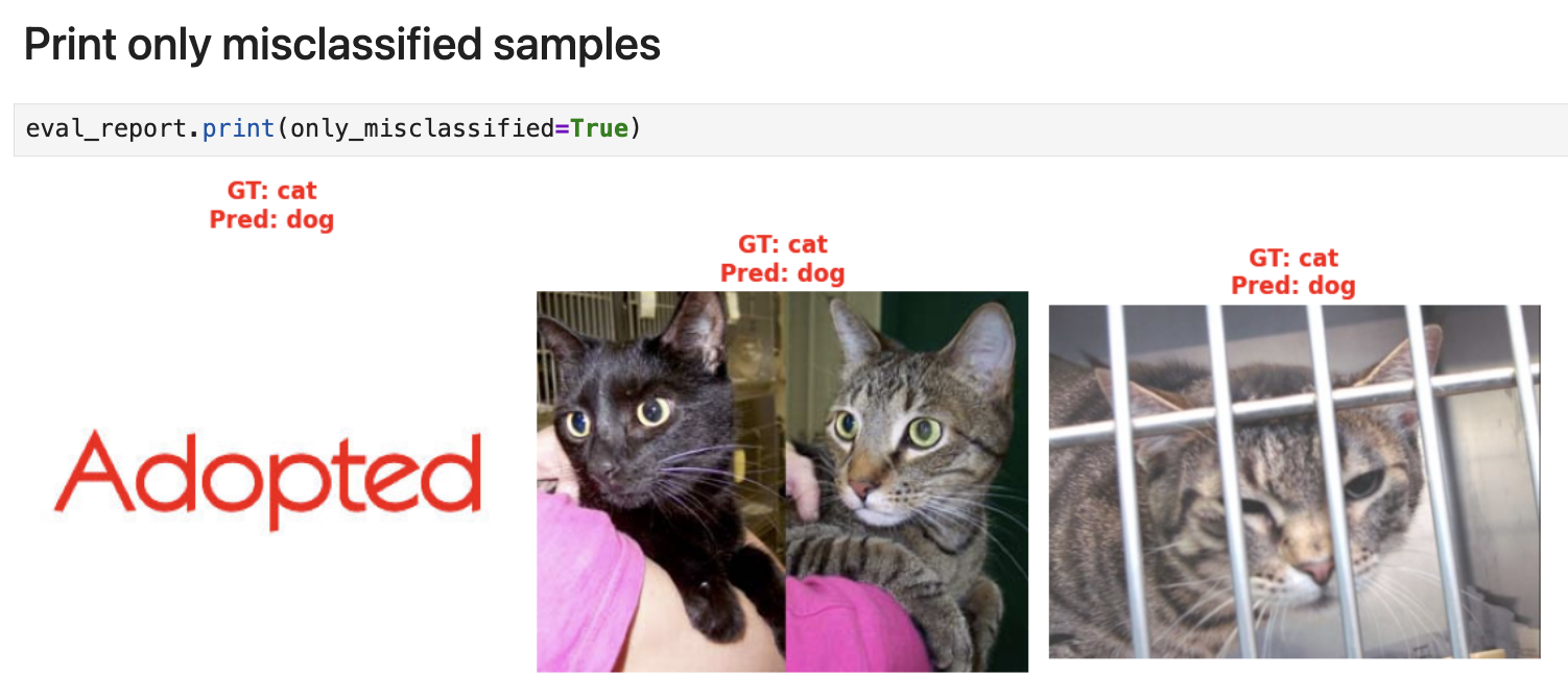 Visualize incorrect evals