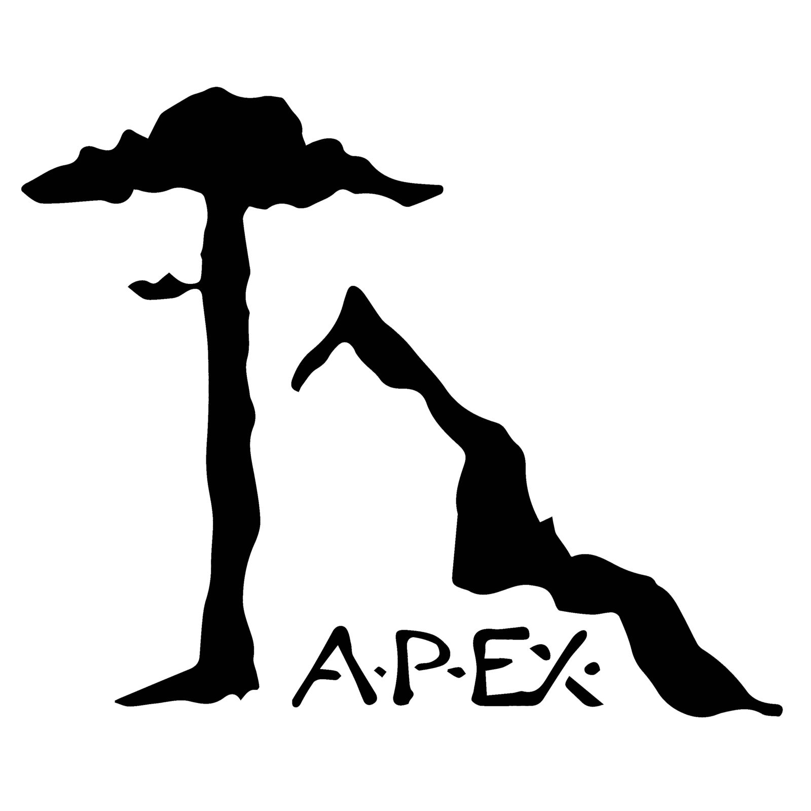 Logo auspiciador