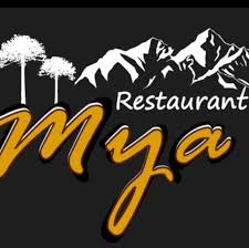 Logo auspiciador