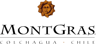 Logo auspiciador