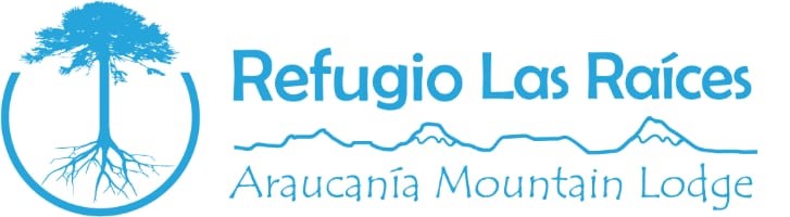 Logo auspiciador