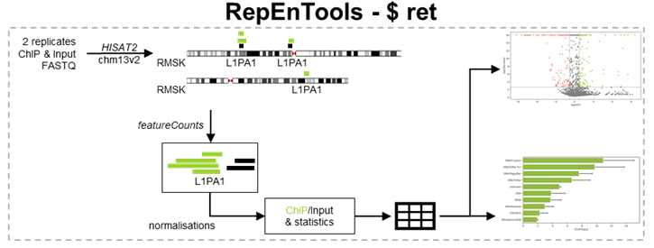 A schematic overview of RepEnTools analysis function.