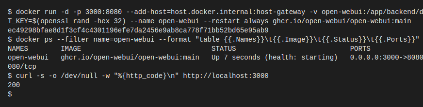 Starting the Open WebUI container