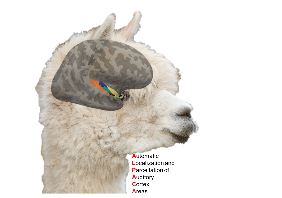 alpaca_logo