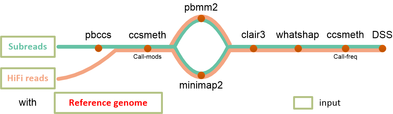 ccsmethphase-tubemap