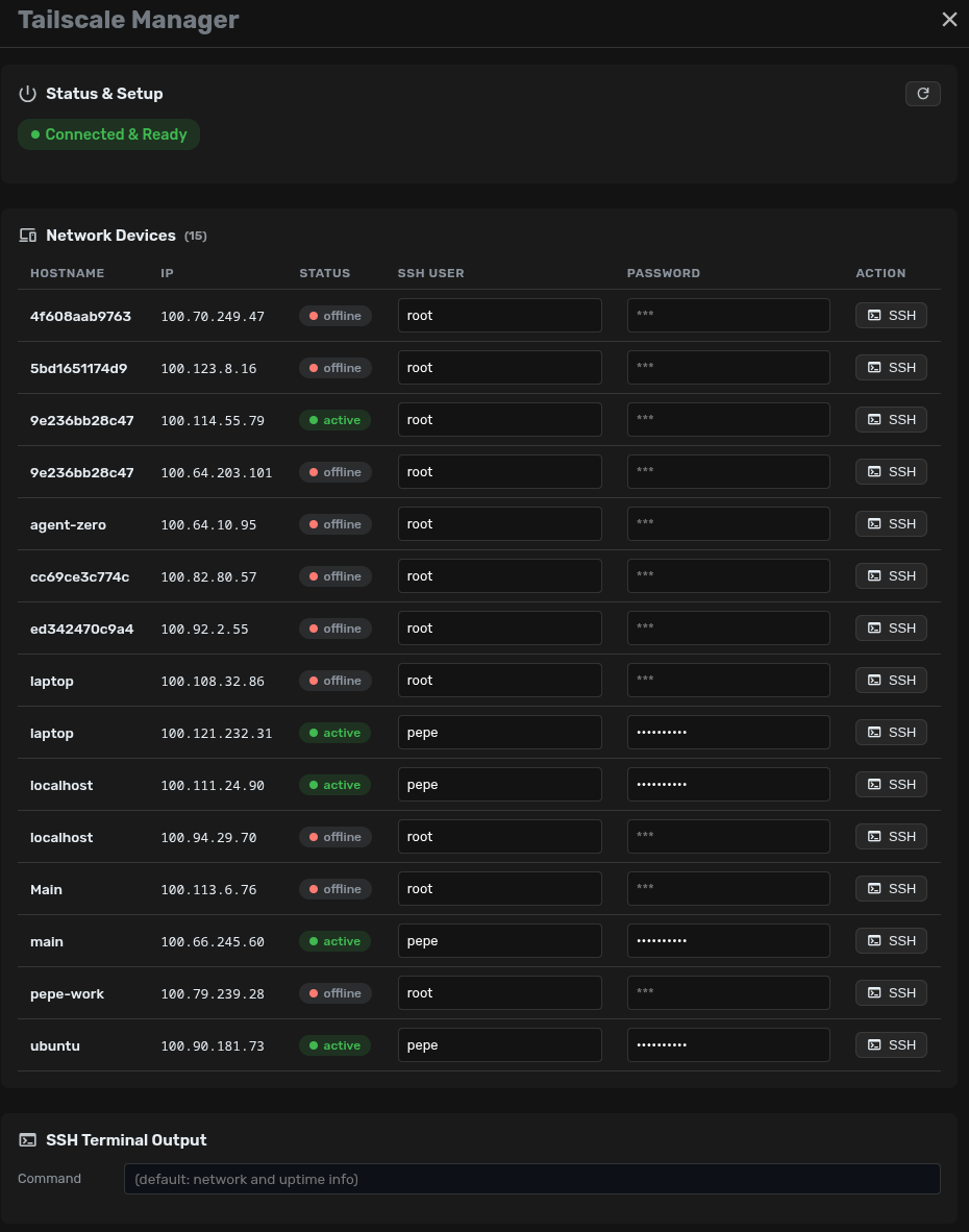 Tailscale Manager