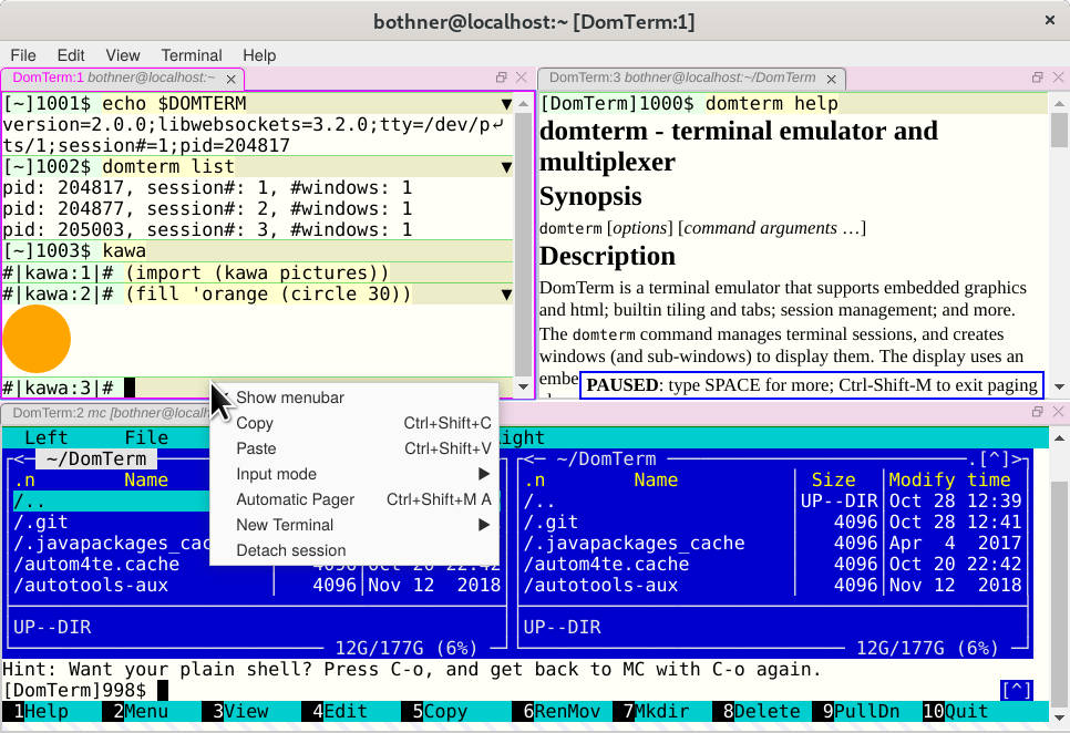 DomTerm screenshot with panes