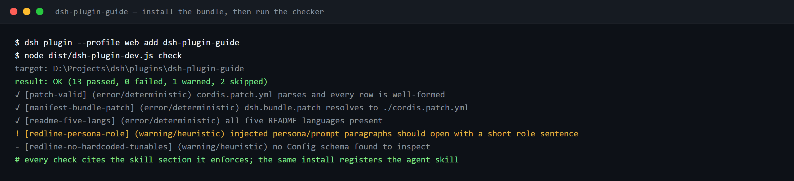 Terminal demo of dsh-plugin-guide: dsh-plugin-guide — install the bundle, then run the checker