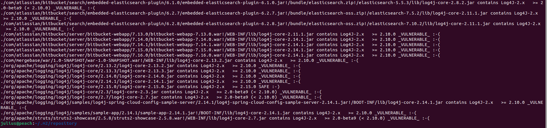Terminal output from running java -jar log4j-detector.jar in a terminal