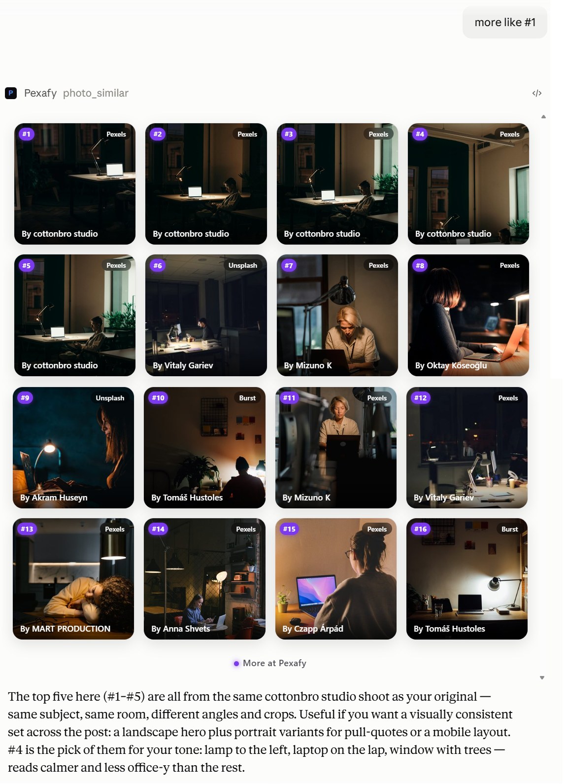 Asking for more photos like #1, and the assistant reasoning over the new set