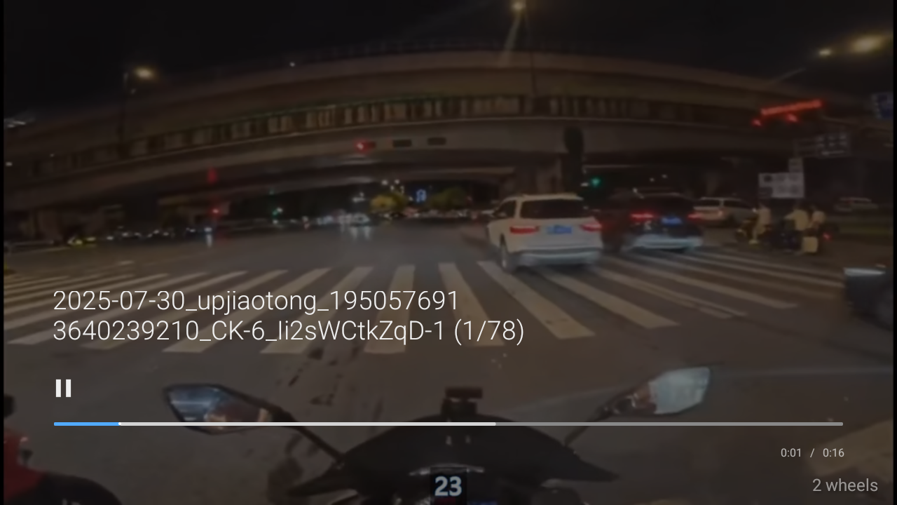 Video with Controls