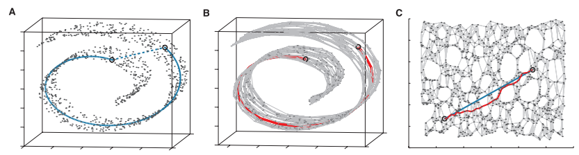 isomap