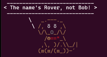 rover